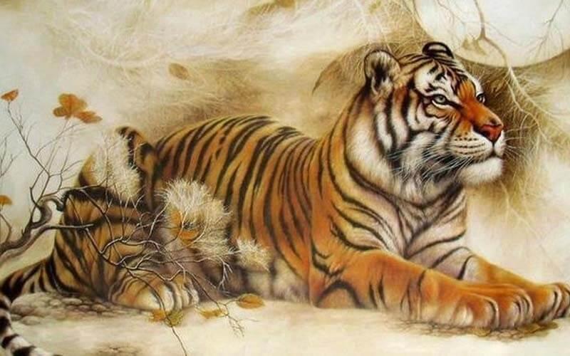 Mau sac may man va hop phong thuy cho nguoi tuoi Mau Dan menh Tho